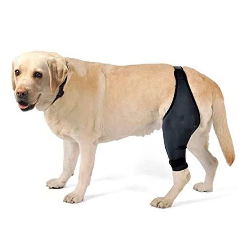 Dog Leg Fracture Fixation Protector