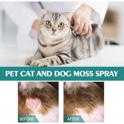 Yegbong Pet Skin Medicine Spray, Cats And Dogs To Remove Mite Skin Itching To Remove Red Hair To Itch