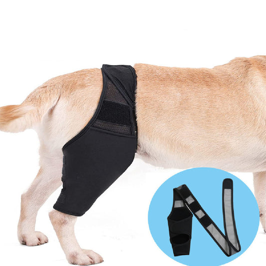 Dog Leg Fracture Fixation Protector